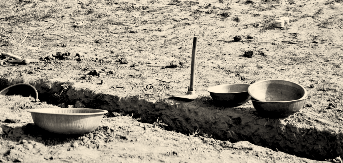 Muster roll verification