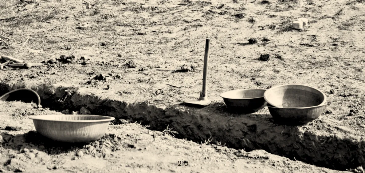 Accountability Museum